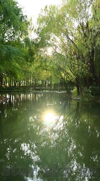 申花足球比分-申花足球，比分背后的风云变幻与未来展望