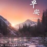 完场足球比分网-完场足球比分网，球迷的即时战报库与数据宝藏地