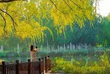 以色列足球比分直播-以色列足球比分直播，实时追踪绿茵风云，感受中东足坛激情
