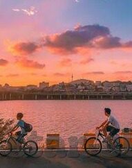 足球情报比分网-足球情报比分网，球迷的智慧中枢与数据宝藏库